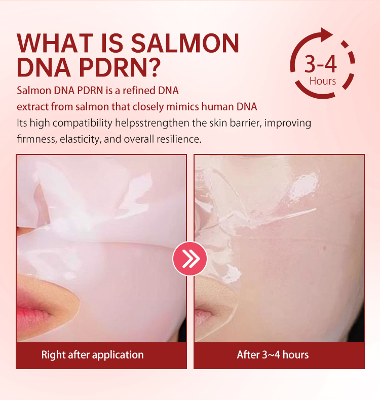 What is Salmon DNA PDRN - ingredient infographic showing skin absorption results
